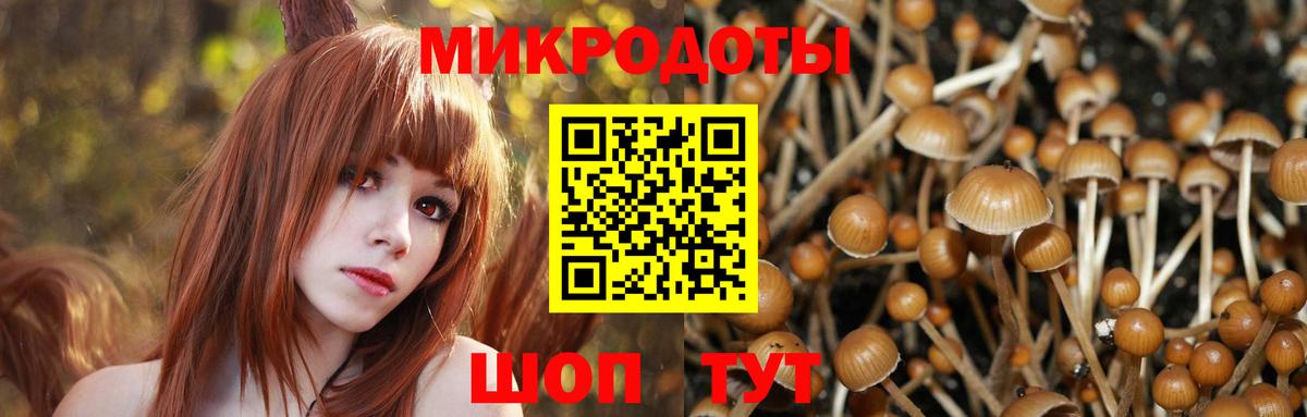 Псилоцибиновые грибы мухоморы Нарткала