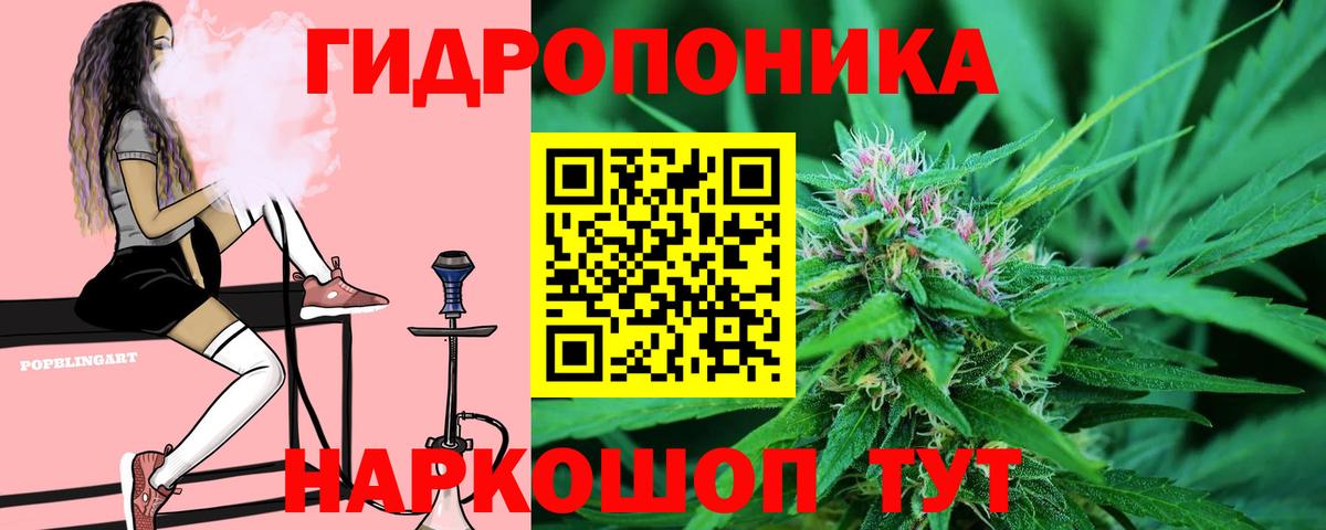 Нарткала  МАРИХУАНА Bruce Banner  Вход с VPN  Канабис конопля  Бошки марихуана Amnesia  МАРИХУАНА VHQ 